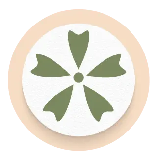 veavoy logo icon